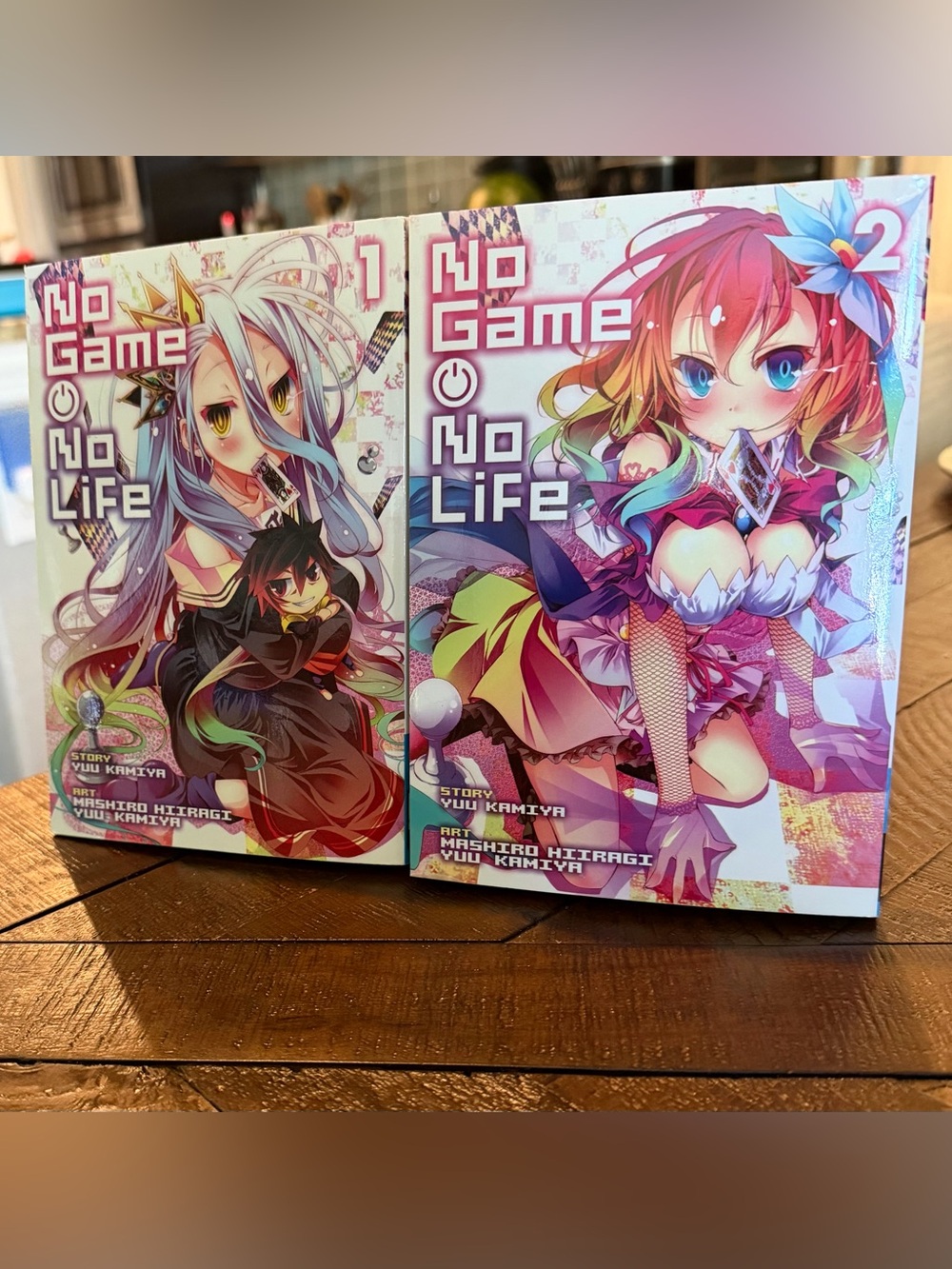 No Game No Life Volume 1 Manga - Colorful Cover